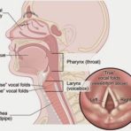 Voice Assessment and Therapy Combo